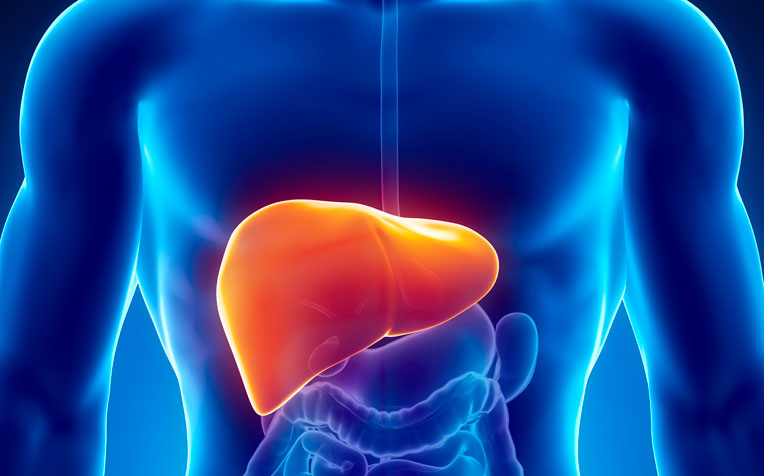 Cancer Of The Liver